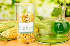 Berry biofuel availability